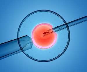 Fecundación In Vitro (FIV) – ICSI