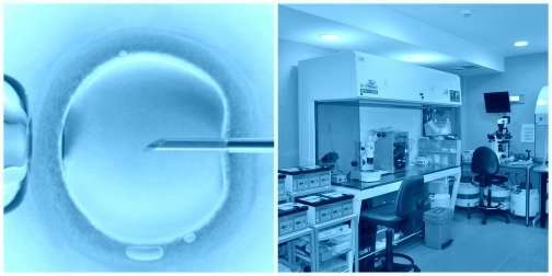Fertilización in vitro