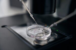 Freeze-All, Tambre beteiligt sich an einer innovativen Studie zur „ Freeze-All “-Strategie in der Fertilitätsbehandlung