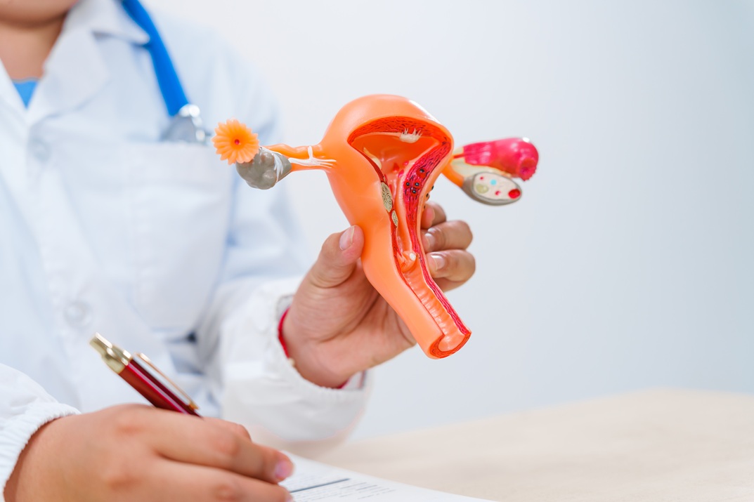 Le cellule NK e il loro ruolo nell'immunologia riproduttiva