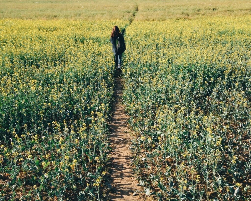 fertilidad y enfermedades autoinmunes